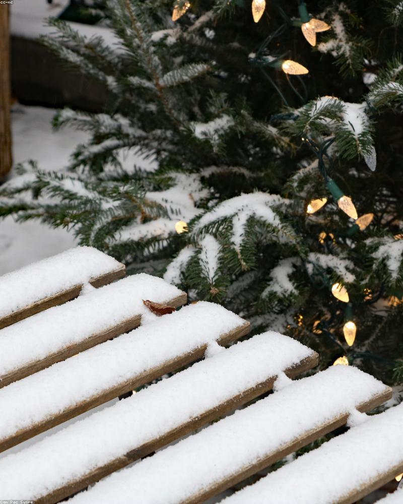 Minimalist Leather Chair V3