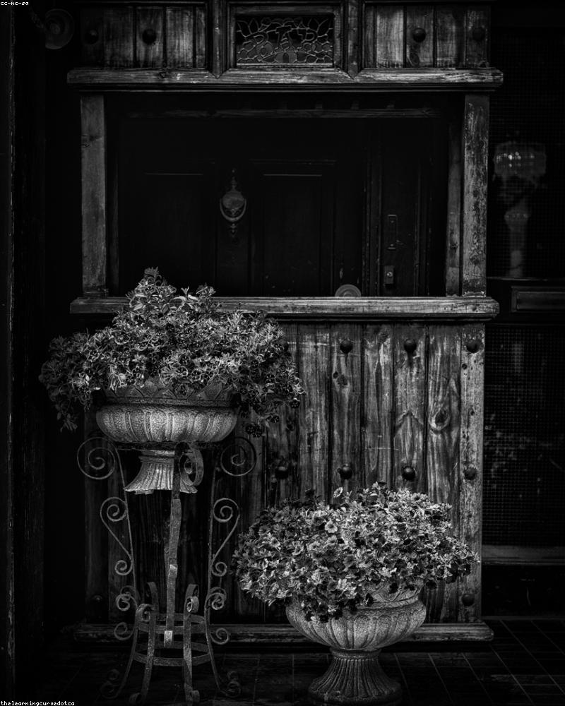 Cozy Leather Cabinet V8