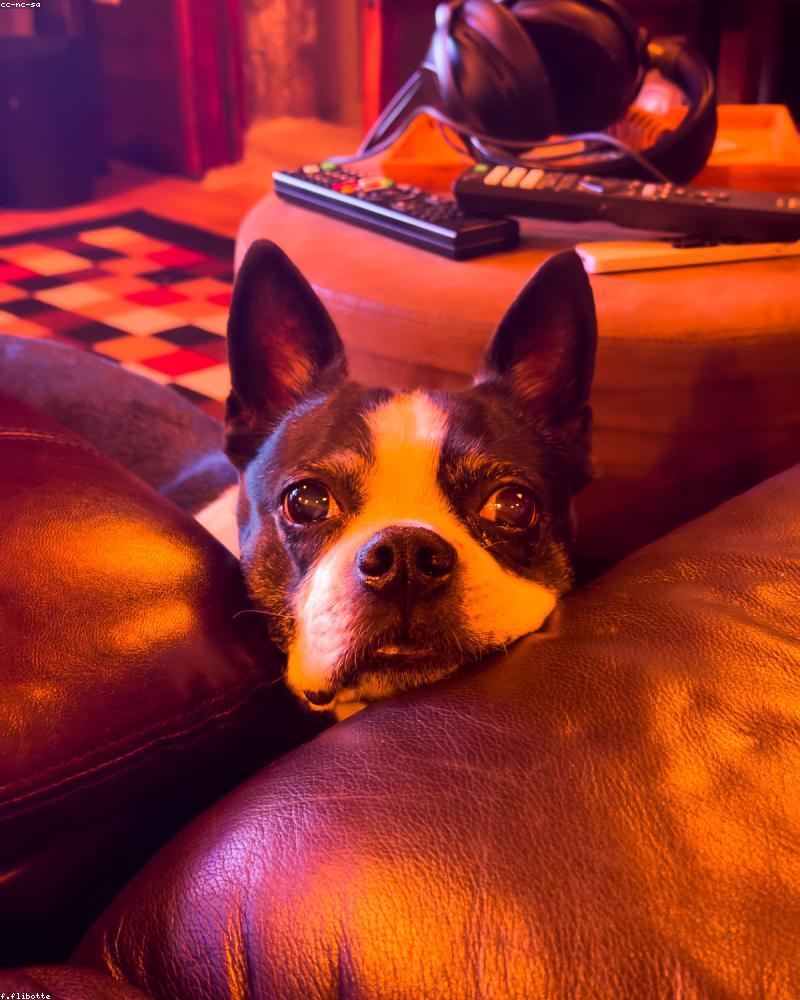 Vintage Glass Sofa V1