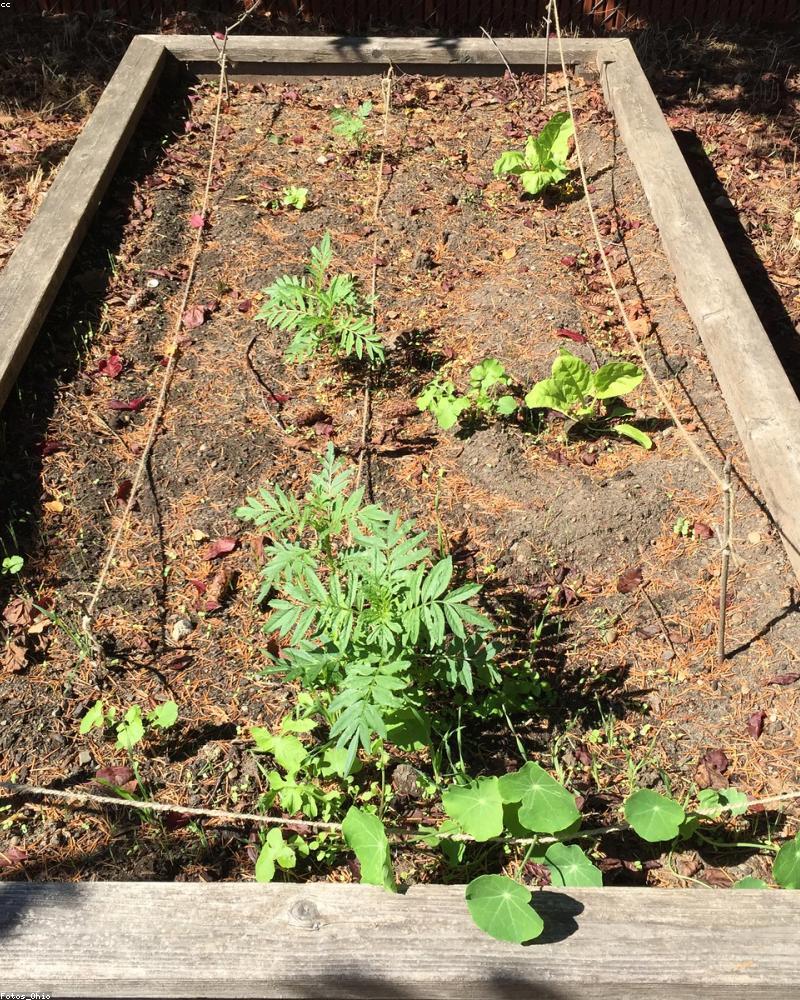 Contemporary Leather Bed V4