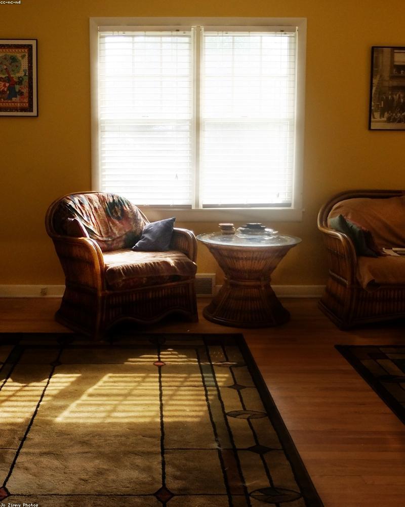 Cozy Leather Chair V6